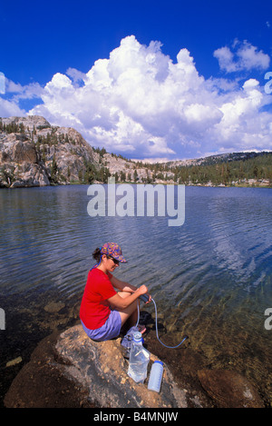 La purification de la femme l'eau potable sur la rive du lac Boothe Sierra Nevada Yosemite National Park California Banque D'Images