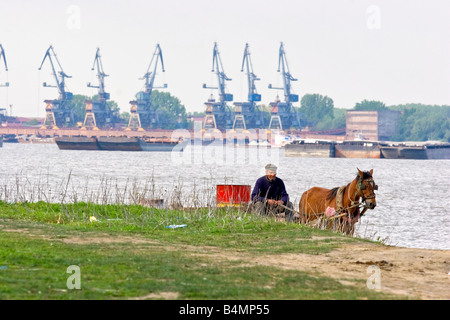 Un homme horsecart sur en face de port énorme à Galati, Roumanie. Galati est la ville qui marque l'endroit où le delta du Danube Banque D'Images