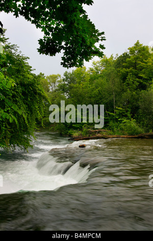 Le cours inférieur de la rivière Niagara prend des photos de dessus vue de dessus vue de dessus vers le bas format vertical très haute résolution aux États-Unis haute résolution Banque D'Images