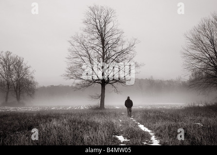 L'image de rêve d'un homme marchant dans la brume près d'un grand arbre Banque D'Images