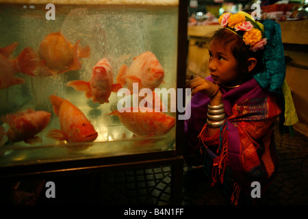 Une jeune fille Top Longneck regarde poisson pour la vente à un marché d'environ 300 réfugiés birmans en Thaïlande sont membres de communautés indigènes Longnecks groupe connu sous le nom de la plus grande des trois villages où l'Longnecks live est appelé Nai Soi situé près de la ville de Mae Hong Son Longnecks porter des bagues métalliques sur le cou qui poussent la clavicule et étendre le cou Ils sont une attraction touristique touristes visitent Nai Soi pour prendre des photos de l'Longnecks et acheter leur artisanat Les villages sont critiqués par les organisations des droits de l'homme comme les zoos Banque D'Images