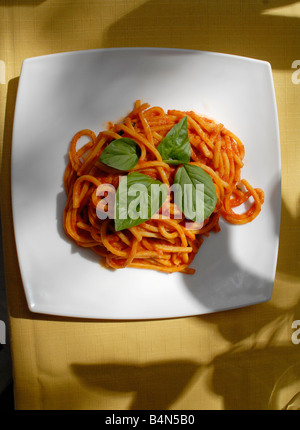 Une assiette de spaghetti pomodoro avec des feuilles de basilic Banque D'Images