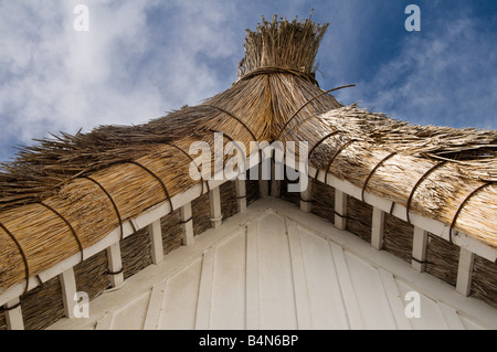 Détail de la maison de chaume traditionnels à Santana Madeira Banque D'Images