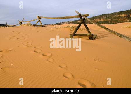 Coral Pink Sand Dunes State Park, Utah Banque D'Images