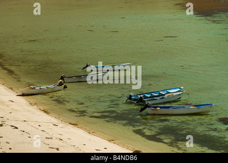 Bateaux à Playa El Burro Bahia Concepcion Baja California Sur le Mexique Banque D'Images