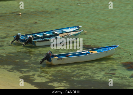 Bateaux à Playa El Burro Bahia Concepcion Baja California Sur le Mexique Banque D'Images