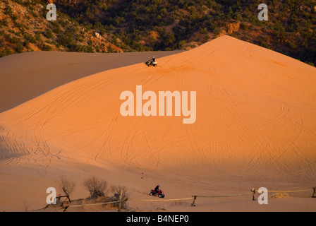 Coral Pink Sand Dunes State Park, Utah Banque D'Images