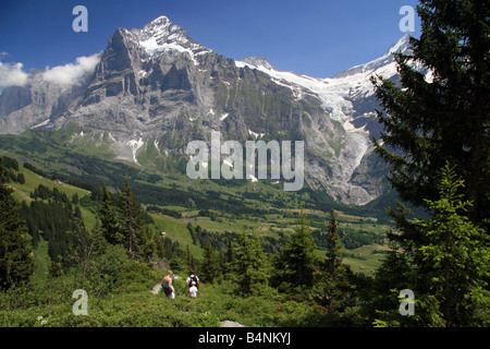 Avis de Wetterhorn et la vallée de Grindelwald à Grosse Scheidegg à partir de la première dans la région de la Jungfrau de la Suisse du sud Banque D'Images