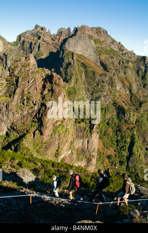 Vue sur les pentes du Pico do Gato à Madère vers Pico das Torres Banque D'Images