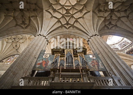 La Cathédrale de Salamanque- 12 l'intérieur, un autre orgue baroque stupéfiante Banque D'Images