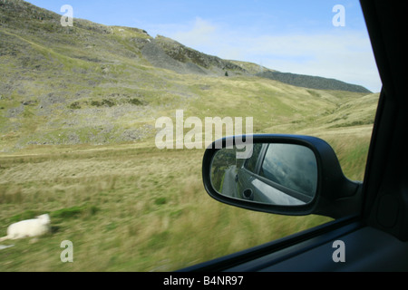 Car la conduite sur routes de campagne au Pays de Galles, Royaume-Uni Banque D'Images