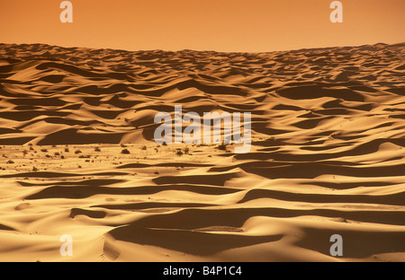 L'Algérie Timimoun dunes de sable du désert du Sahara Banque D'Images