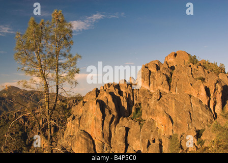 Falaises sur Condor Gulch vues depuis High Peaks Trail Pinnacles National Park California USA Banque D'Images