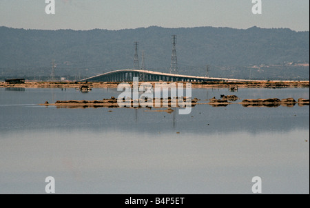 Dumbarton Pont sur la baie de San Francisco et San Francisco Bay National Wildlife Refuge refuge urbain plus Californie Banque D'Images