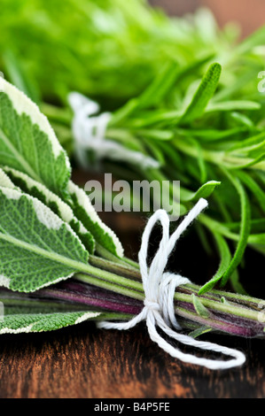 Bouquets de fines herbes assorties close up sur planche à découper en bois Banque D'Images