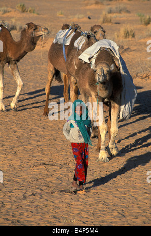 L'Algérie Touggourt fille bédouine et chameaux désert du Sahara Banque D'Images