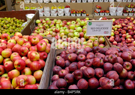 Les pommes fraîches à un marché à la ferme Banque D'Images