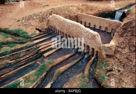 Système d'irrigation traditionnel Timimoun Algérie Sahara Banque D'Images