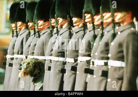 Malachie l'Irish Wolfhound mascotte des Irish Guards Parade avec handler Gavin Coates Mars 1994 Banque D'Images