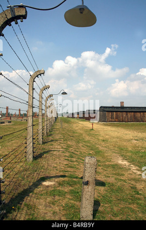 Clôture en fil barbelé à Auschwitz Banque D'Images