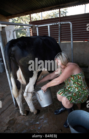 Dame blanche part traire une vache au Kenya Banque D'Images