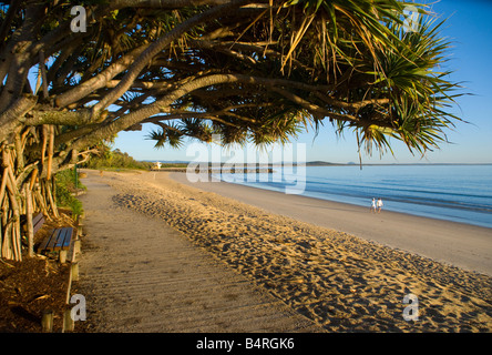 Tôt le matin sur la plage de Noosa Heads dans le Queensland en Australie Banque D'Images