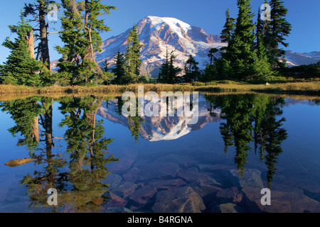 Tarn montagne reflétant le Mont Rainier à l'aube, le Mont Rainier National Park, Washington, USA Banque D'Images