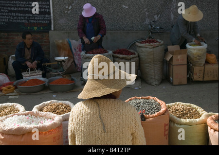 Chine, Province du Yunnan, région du lac Erhai Hu Xizhou, marché, fournisseur, écrou Banque D'Images