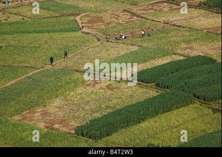 Chine, Province du Yunnan, région du lac Erhai Hu, les champs et le Lac Erhai Hu Banque D'Images