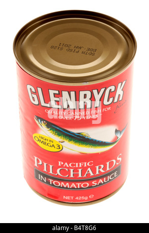 Boîte de sardines à la sauce tomate Banque D'Images