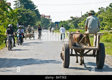 Chemin Rural, province de Ninh Binh, Vietnam du Nord Banque D'Images