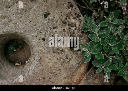 Meule fom le vieux moulin Banque D'Images
