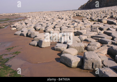 Une SISP géologique sur Kilve Plage à North Somerset avec des plates-formes calcaires Banque D'Images