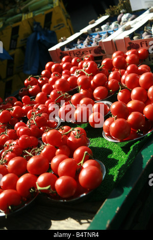 Des tomates pour la vente à Borough Market, quartier, Londres, Angleterre Banque D'Images