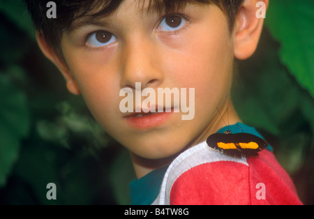 Portrait d'un petit garçon à la recherche d'un papillon à assis sur son épaule Banque D'Images