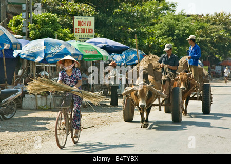 Location et panier on rural road, province de Ninh Binh, Vietnam du Nord Banque D'Images