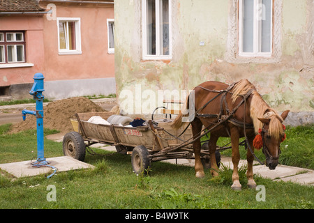 Biertan Transylvanie Roumanie Europe cheval traditionnel et panier par pompe village Banque D'Images