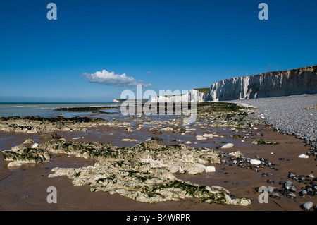 Royaume-uni, Angleterre, 23 août 2008. La plage à Urrugne sur la côte du Sussex de l'Est. Banque D'Images