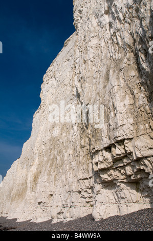 Royaume-uni, Angleterre, 14 octobre 2008. Les falaises à Urrugne sur la côte sud de l'Angleterre. Banque D'Images