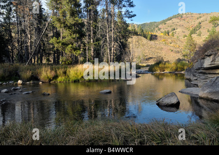 McCoy Creek serpente doucement à travers la forêt nationale de l'Idaho de Caribou. Banque D'Images