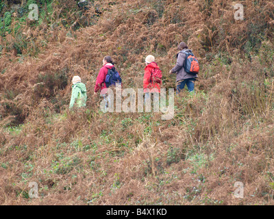 Deux adultes et deux enfants de marcher le long d'un chemin à travers le pays de fougères, Cornwall Banque D'Images