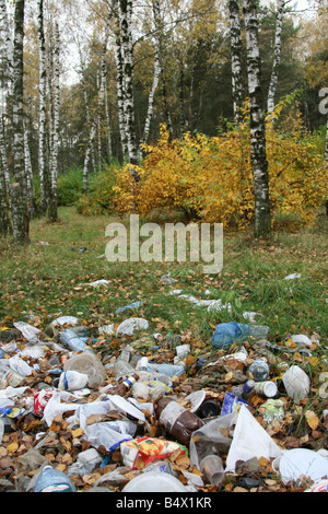 Déchets en belle forêt d'automne (Moscou, Russie) Banque D'Images