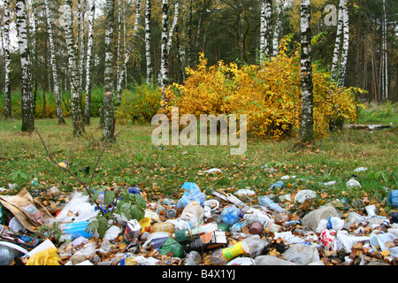 Déchets en belle forêt d'automne (Moscou, Russie) Banque D'Images