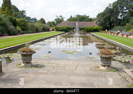 Les étangs de nénuphar à Wisley RHS Gardens, Londres Banque D'Images