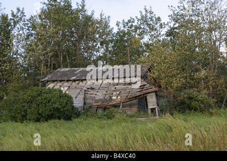 Pionniers ranch cabane cabane en ruine et abandonné dans un petit bois sur la région des prairies au Canada Banque D'Images