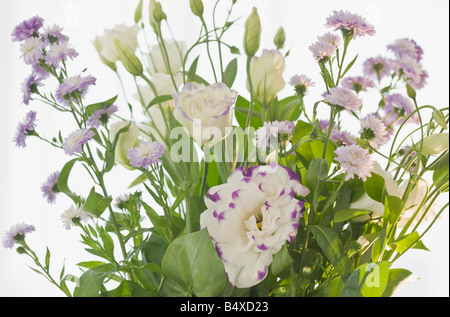 Close up of flowers Banque D'Images