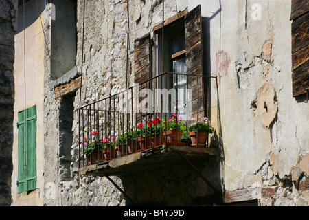 Plantes en pot en balcon, low angle view Banque D'Images