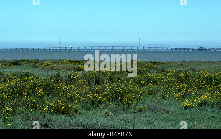 Baylands Nature Preserve Palo Alto et Dumbarton Bridge sur la baie de San Francisco Californie Banque D'Images