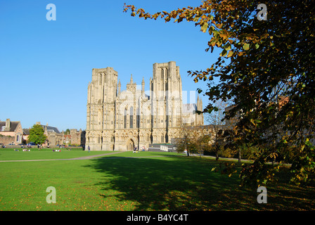 Wells Cathedral et avant de l'ouest du vert, Wells, Somerset, England, United Kingdom Banque D'Images