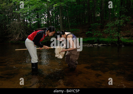 Stream Lab, dans la classe de biologie de l'École d'été de faire enquête sur les flux de invertrebrate Banque D'Images